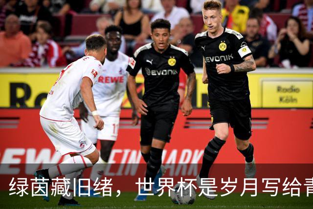绿茵藏旧绪，世界杯是岁月写给青春的信